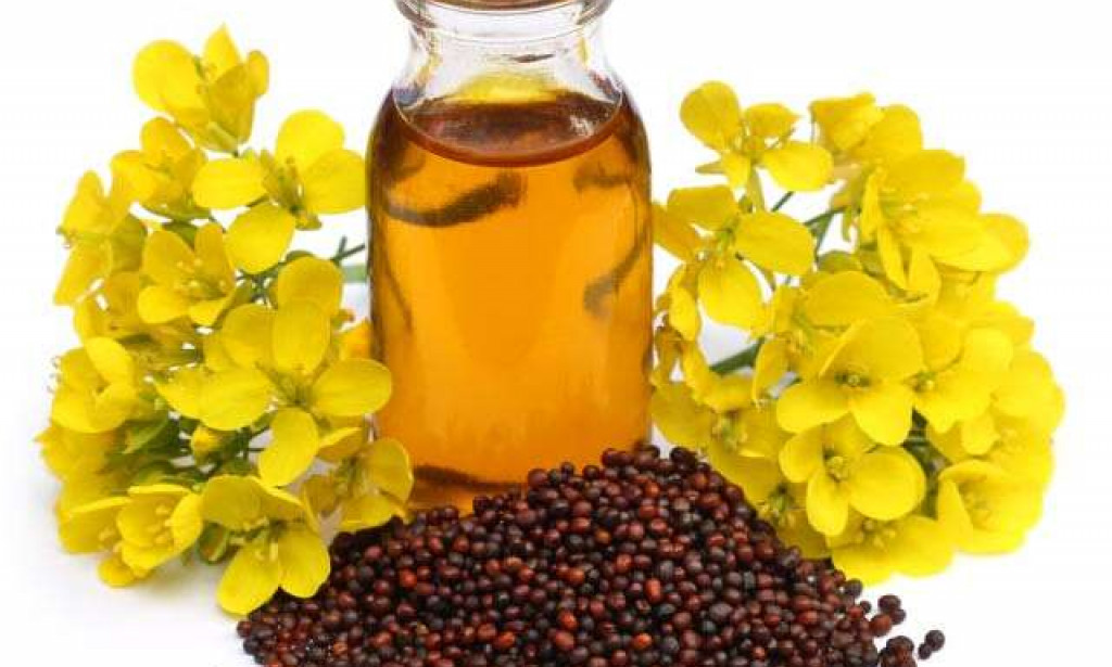 The Top 10 Benefits Of Mustard Oil For Skin Hair And Health