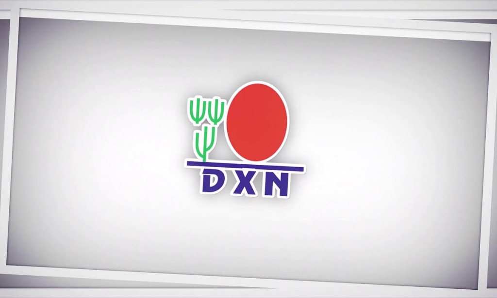 What is DXn Business :- Review 2023-2024