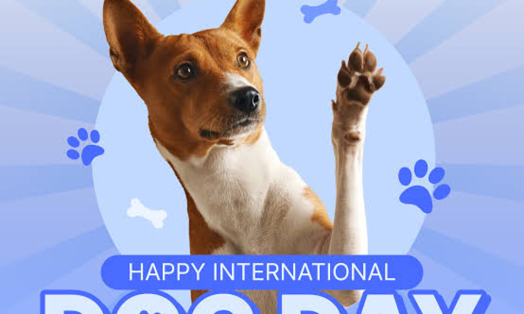 Top 10 Captivating Facts About International Dog Day