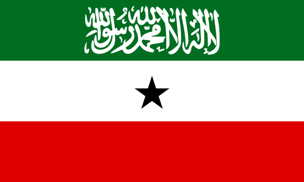 What are the Somaliland's Potential as a Strategic Partner Securing